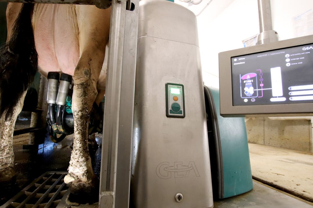 CarlLou Farms Dairy Lane Systems GEA R9500 Milking Robots